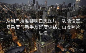 从用户角度聊聊白虎图片：功能设置复杂度与新手友好度评估，白虎照片头像