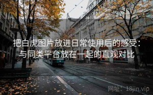 把白虎图片放进日常使用后的感受：与同类平台放在一起的直观对比