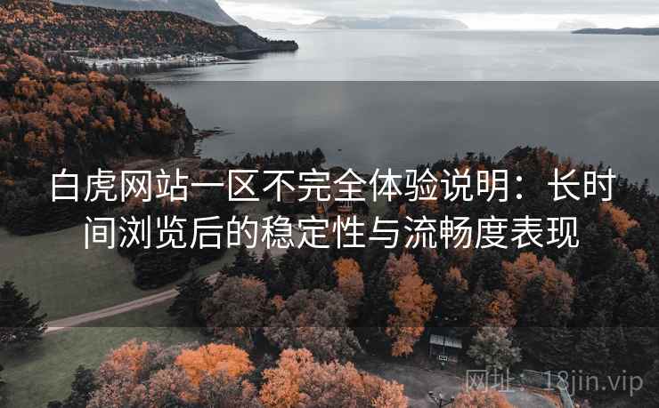 白虎网站一区不完全体验说明：长时间浏览后的稳定性与流畅度表现