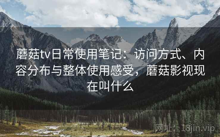 蘑菇tv日常使用笔记：访问方式、内容分布与整体使用感受，蘑菇影视现在叫什么