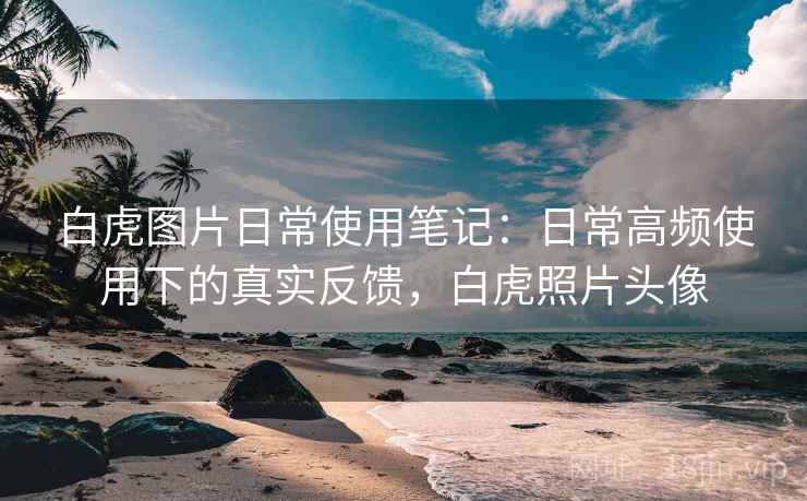 白虎图片日常使用笔记：日常高频使用下的真实反馈，白虎照片头像