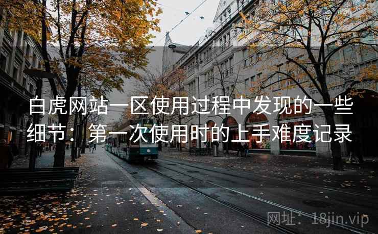 白虎网站一区使用过程中发现的一些细节：第一次使用时的上手难度记录