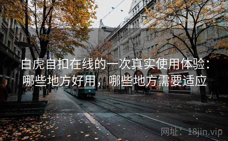 白虎自扣在线的一次真实使用体验：哪些地方好用，哪些地方需要适应