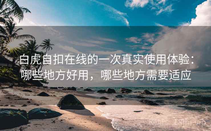 白虎自扣在线的一次真实使用体验：哪些地方好用，哪些地方需要适应