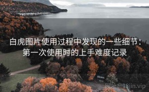 白虎图片使用过程中发现的一些细节：第一次使用时的上手难度记录