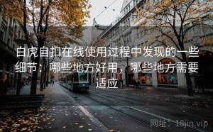 白虎自扣在线使用过程中发现的一些细节：哪些地方好用，哪些地方需要适应
