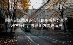 围绕白虎图片的实际使用感想：哪些地方好用，哪些地方需要适应