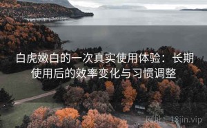 白虎嫩白的一次真实使用体验：长期使用后的效率变化与习惯调整