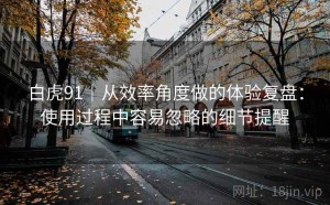 白虎91｜从效率角度做的体验复盘：使用过程中容易忽略的细节提醒