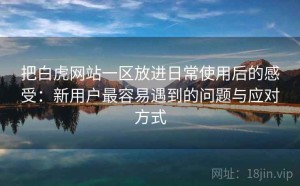 把白虎网站一区放进日常使用后的感受：新用户最容易遇到的问题与应对方式