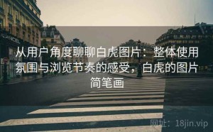 从用户角度聊聊白虎图片：整体使用氛围与浏览节奏的感受，白虎的图片简笔画