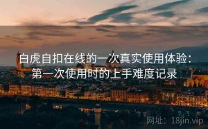 白虎自扣在线的一次真实使用体验：第一次使用时的上手难度记录