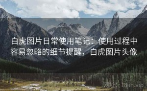 白虎图片日常使用笔记：使用过程中容易忽略的细节提醒，白虎图片头像