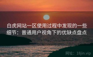 白虎网站一区使用过程中发现的一些细节：普通用户视角下的优缺点盘点