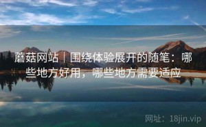 蘑菇网站｜围绕体验展开的随笔：哪些地方好用，哪些地方需要适应