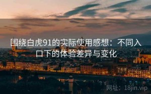 围绕白虎91的实际使用感想：不同入口下的体验差异与变化