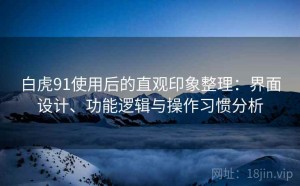 白虎91使用后的直观印象整理：界面设计、功能逻辑与操作习惯分析