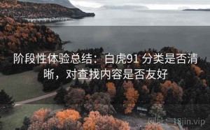 阶段性体验总结：白虎91 分类是否清晰，对查找内容是否友好