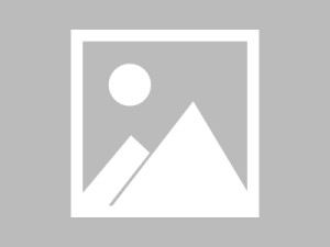 反复使用后再看蘑菇视频：更适合碎片时间还是长时间浏览