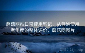 蘑菇网站日常使用笔记：从普通使用者角度的整体评价，蘑菇网图片
