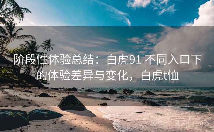 阶段性体验总结：白虎91 不同入口下的体验差异与变化，白虎t恤