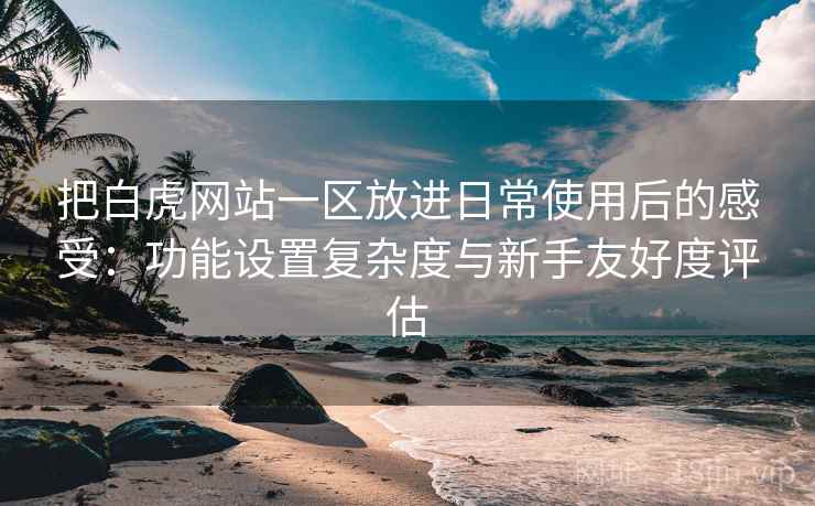 把白虎网站一区放进日常使用后的感受：功能设置复杂度与新手友好度评估