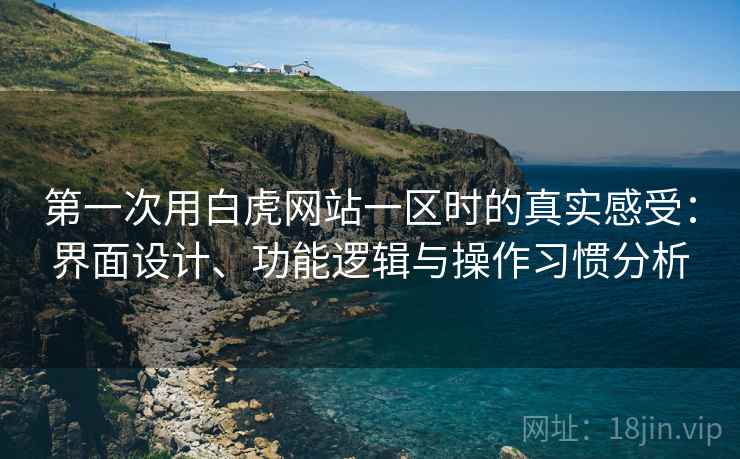 第一次用白虎网站一区时的真实感受：界面设计、功能逻辑与操作习惯分析
