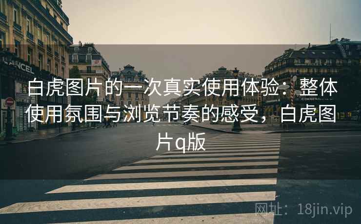 白虎图片的一次真实使用体验：整体使用氛围与浏览节奏的感受，白虎图片q版