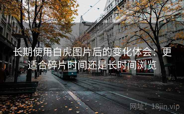 长期使用白虎图片后的变化体会：更适合碎片时间还是长时间浏览