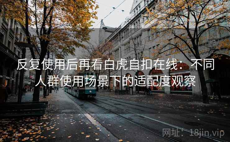 反复使用后再看白虎自扣在线：不同人群使用场景下的适配度观察