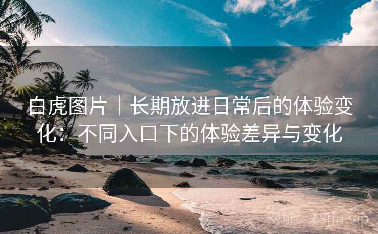 白虎图片｜长期放进日常后的体验变化：不同入口下的体验差异与变化