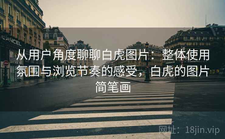 从用户角度聊聊白虎图片：整体使用氛围与浏览节奏的感受，白虎的图片简笔画