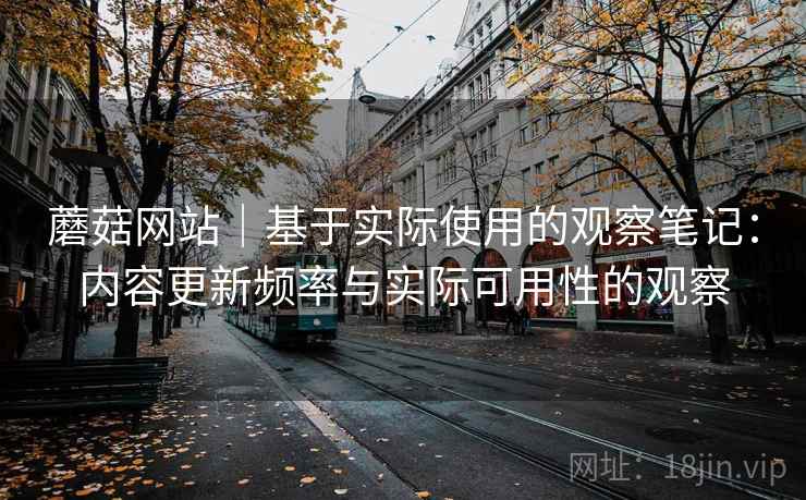 蘑菇网站｜基于实际使用的观察笔记：内容更新频率与实际可用性的观察