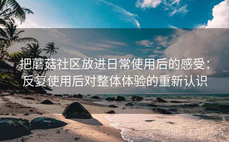 把蘑菇社区放进日常使用后的感受：反复使用后对整体体验的重新认识
