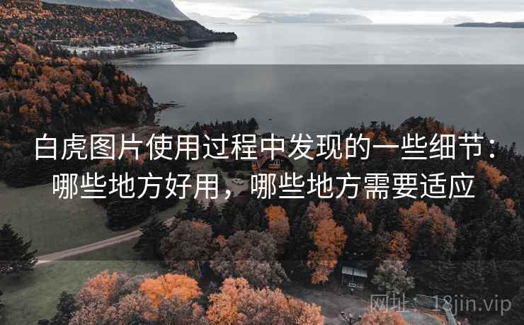 白虎图片使用过程中发现的一些细节：哪些地方好用，哪些地方需要适应