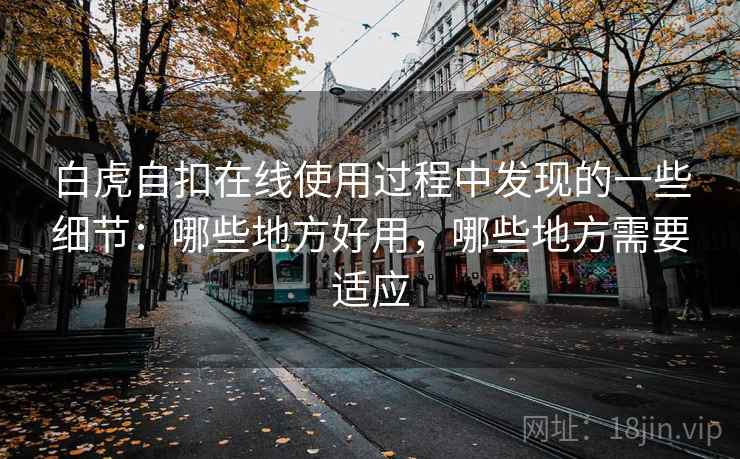 白虎自扣在线使用过程中发现的一些细节：哪些地方好用，哪些地方需要适应