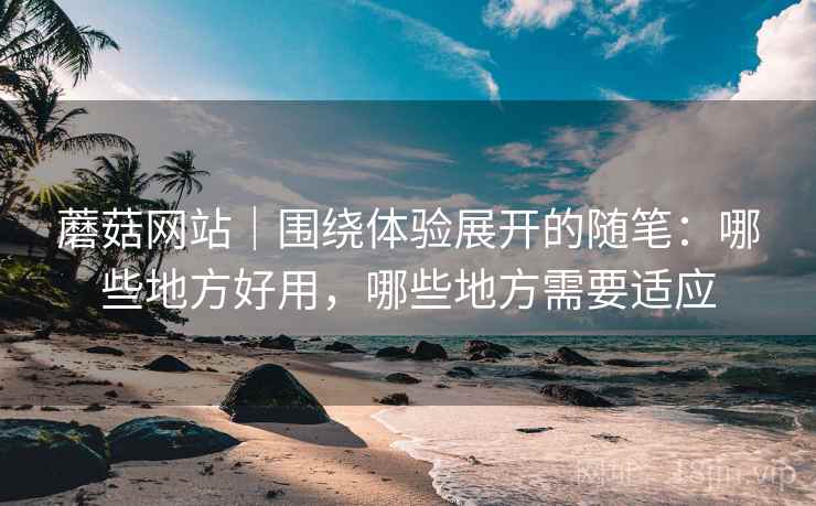 蘑菇网站｜围绕体验展开的随笔：哪些地方好用，哪些地方需要适应