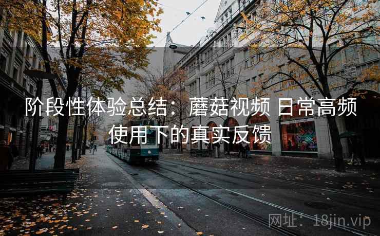 阶段性体验总结:蘑菇视频 日常高频使用下的真实反馈 阶段性体验总结:蘑菇视频 日常高频使用下的真实反馈