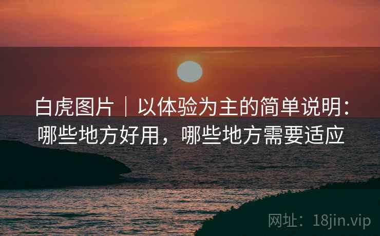 白虎图片|以体验为主的简单说明:哪些地方好用,哪些地方需要适应 白虎图片|以体验为主的简单说明:哪些地方好用,哪些地方需要适应
