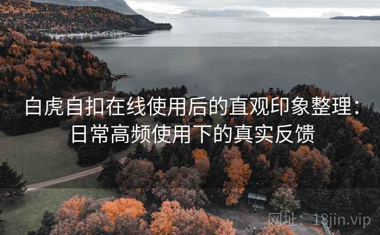 白虎自扣在线使用后的直观印象整理:日常高频使用下的真实反馈 白虎自扣在线使用后的直观印象整理:日常高频使用下的真实反馈