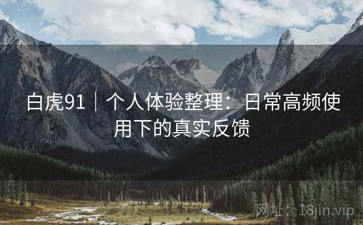 白虎91|个人体验整理:日常高频使用下的真实反馈 白虎91|个人体验整理:日常高频使用下的真实反馈